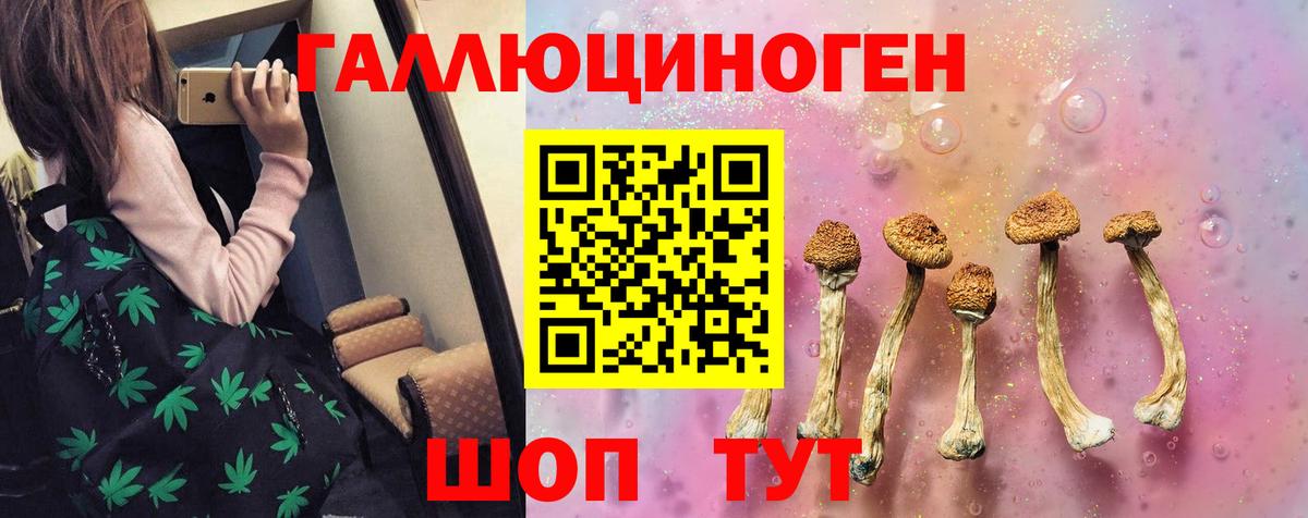 Галлюциногенные грибы Psilocybine cubensis Электрогорск