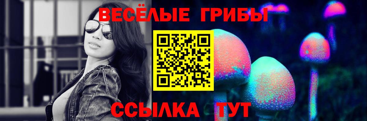 цена   Вход с VPN  Электрогорск  Галлюциногенные грибы Cubensis 